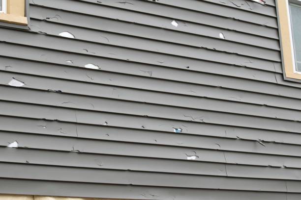 Best Hoarding Cleanup  in Walnut Creek, OH